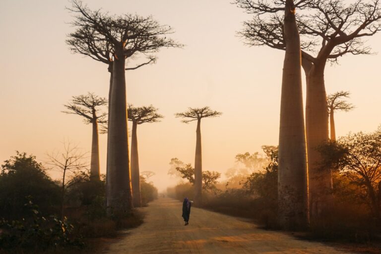Top Ten Must See Landmarks In Africa