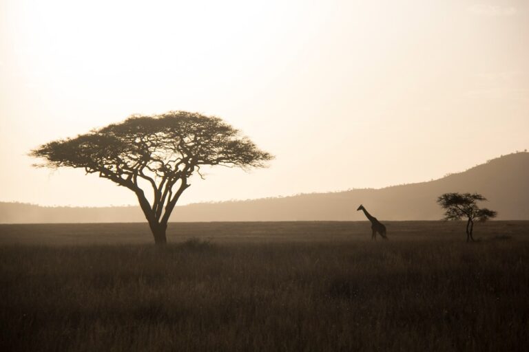 A Guide To Planning Your African Adventure