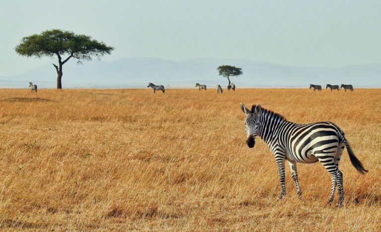 Why Africa Is The Ultimate Luxury Destination